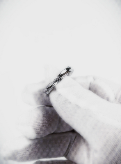 Eternal Twist Ring